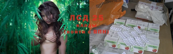 амф Алексин