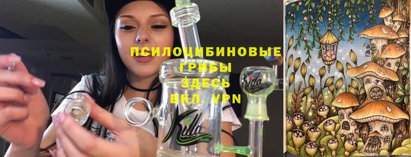 хмурый Алексеевка